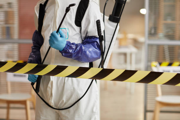 Professional Sewage Cleanup technician working in Adams, NE